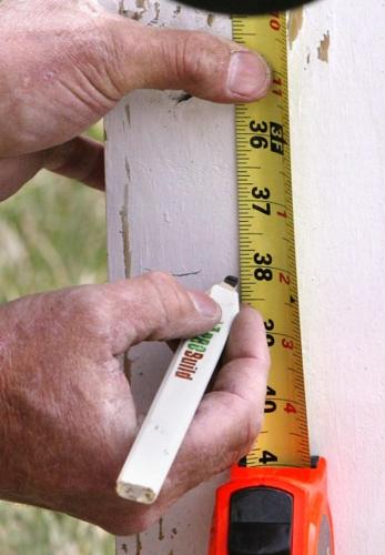 Race Course Economic Impact