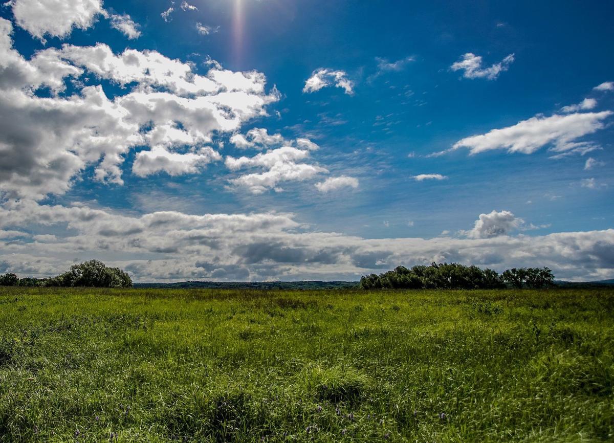 State funds will help protect more Washington County grasslands habitat