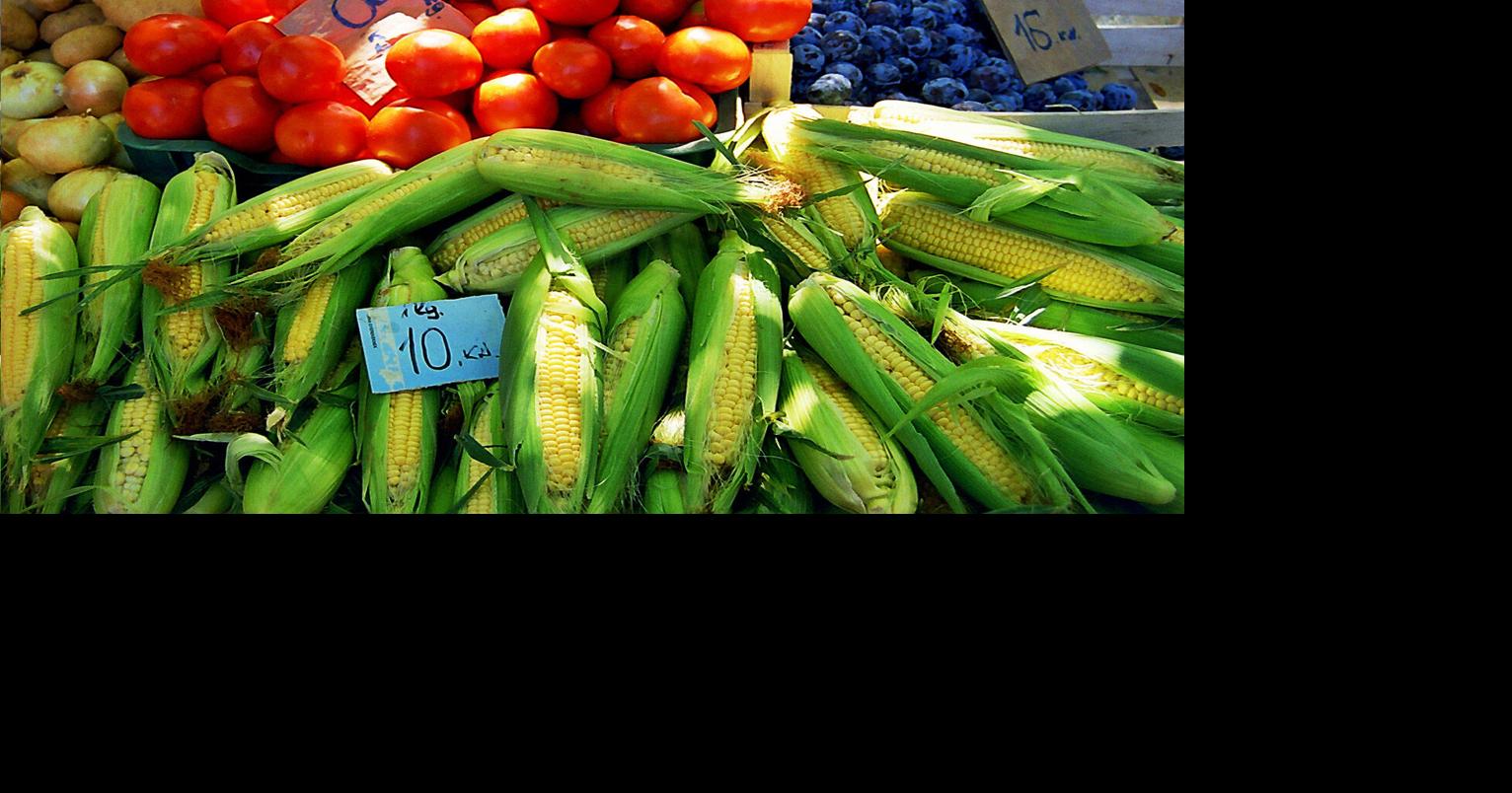 Farmers market coupons for low-income seniors available soon