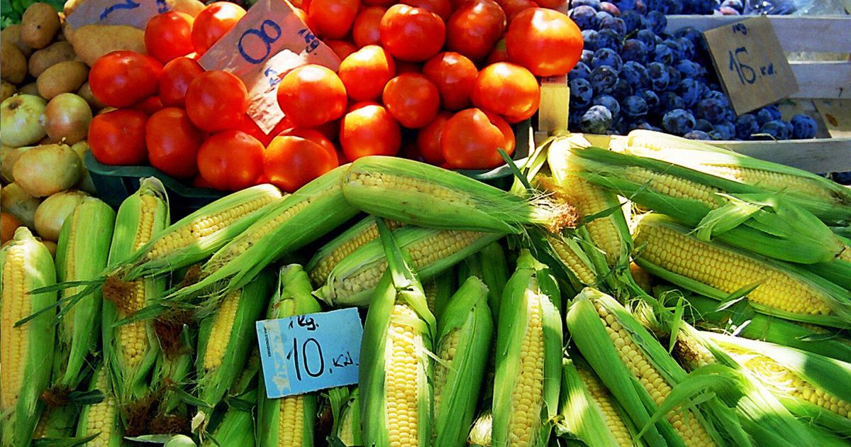 Farmers market coupons for low-income seniors available soon