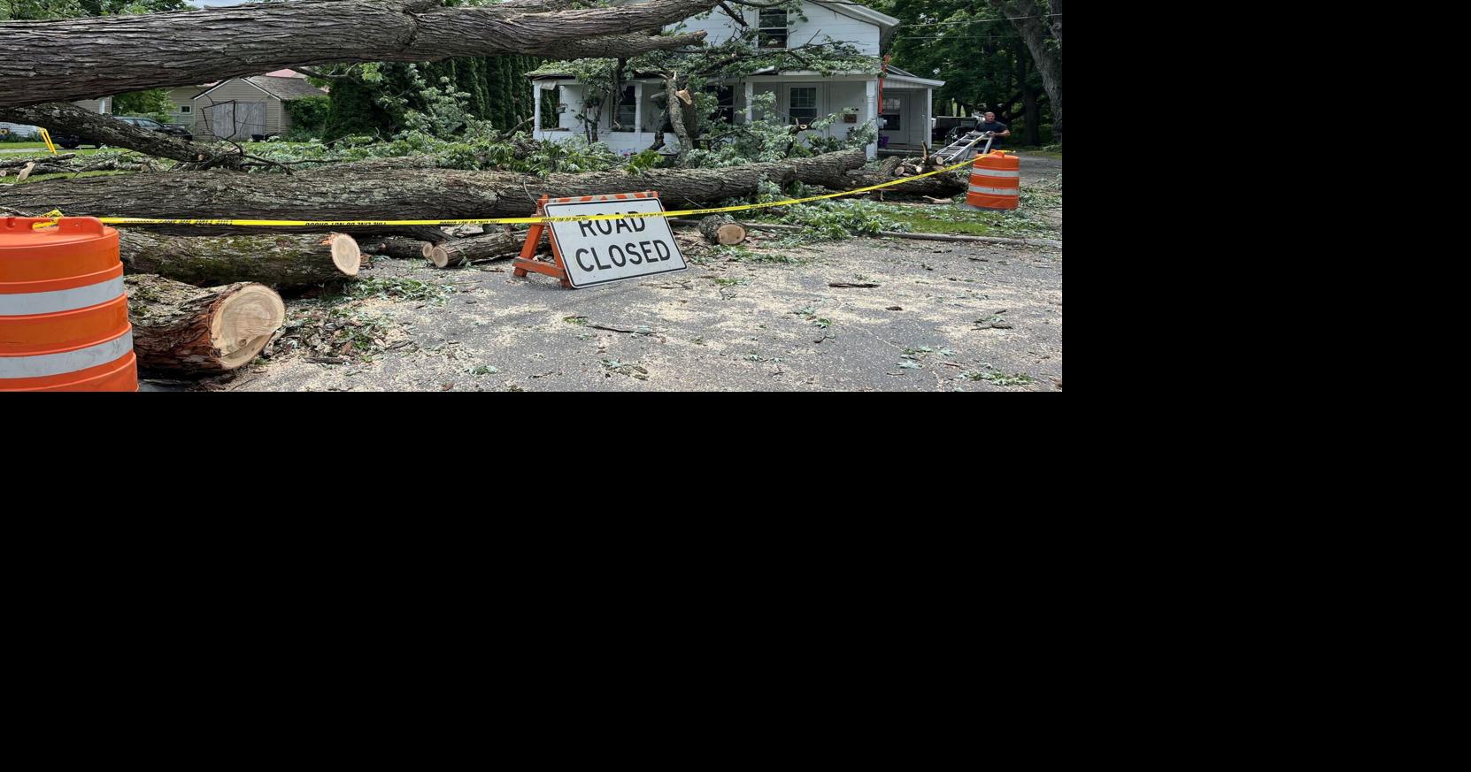 Downed tree debate leads to GoFundMe organized