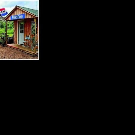 City may allow farm stands; public hearing scheduled