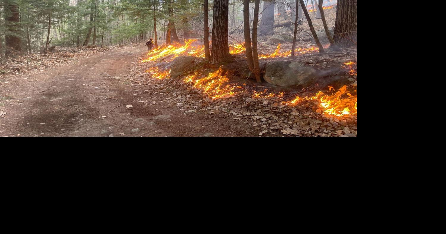 'Fire in the Adirondacks' conference coming