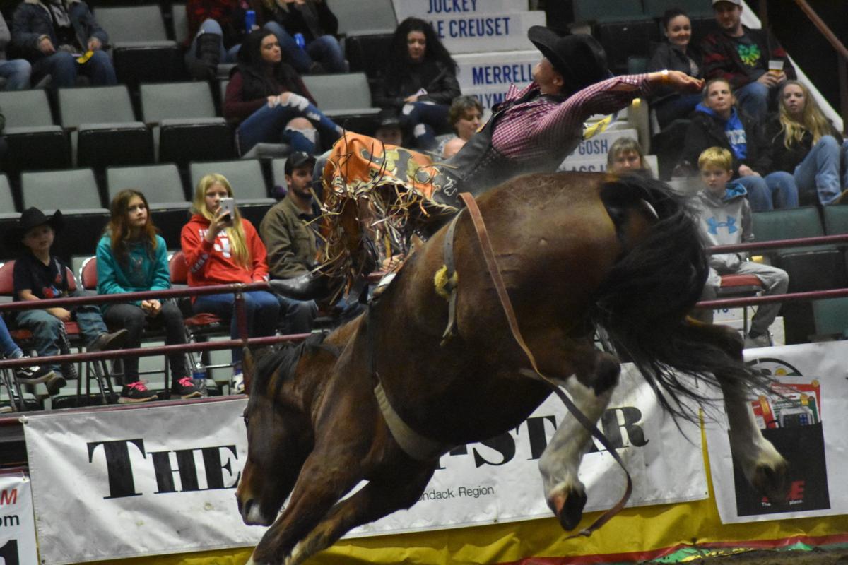 Rodeo