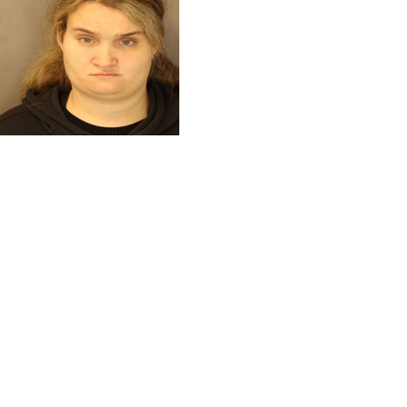 Glens Falls woman charged with welfare fraud