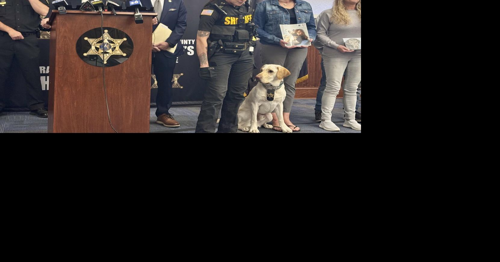 Tedisco continues push for animal abuse legislation