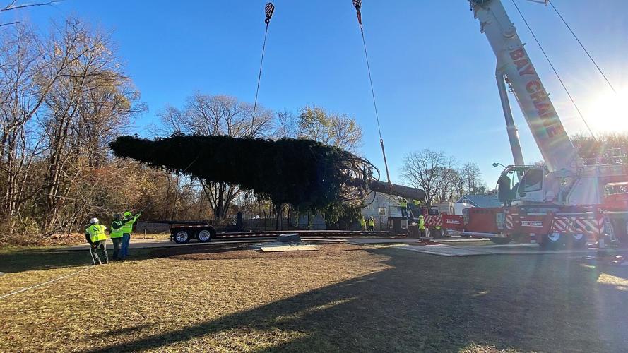 Rockefeller Center Christmas tree cut in Queensbury, begins trip to