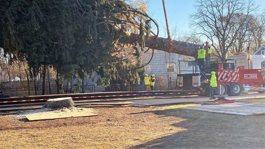 Rockefeller Center Christmas tree cut in Queensbury, begins trip to