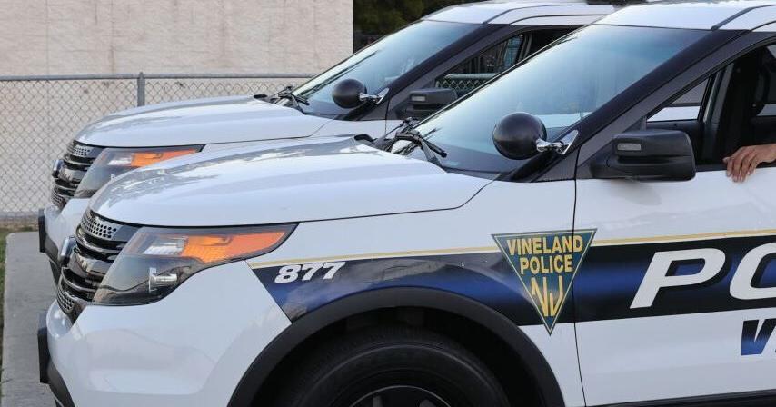 Vineland officer bit busting up house party, police say