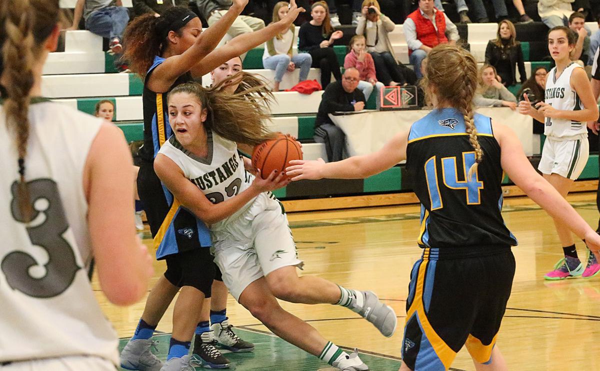 Lower Cape May Vs Mainland Girls Basketball High School