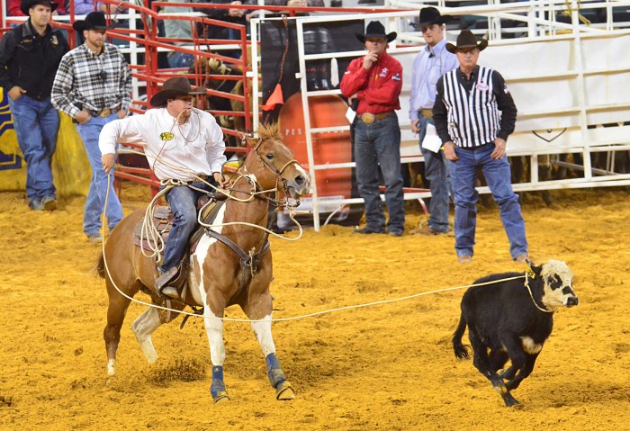 friday night rodeo