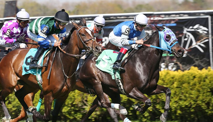 Day at the Races