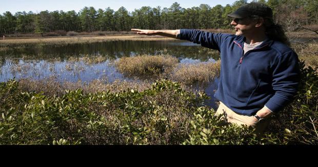 Kirkwood Cohansey Aquifers Health Critical To Pinelands Ecosystems 0161