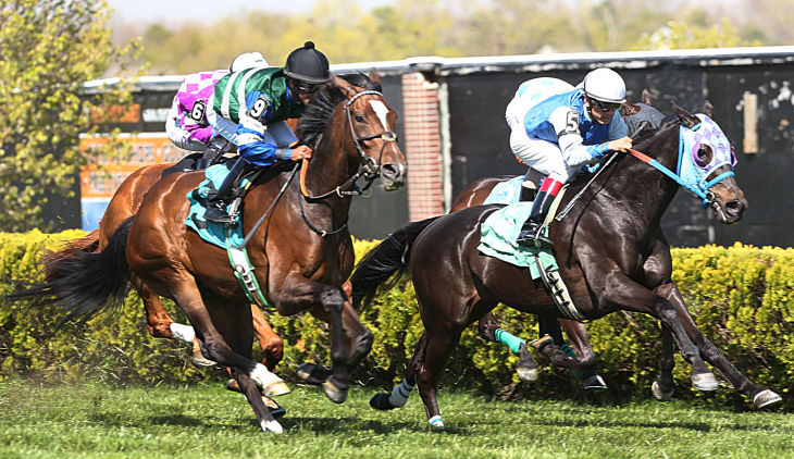 Day at the Races