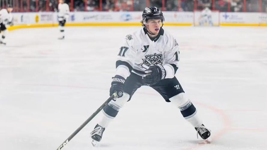 Schandor returns to Swamp Rabbits