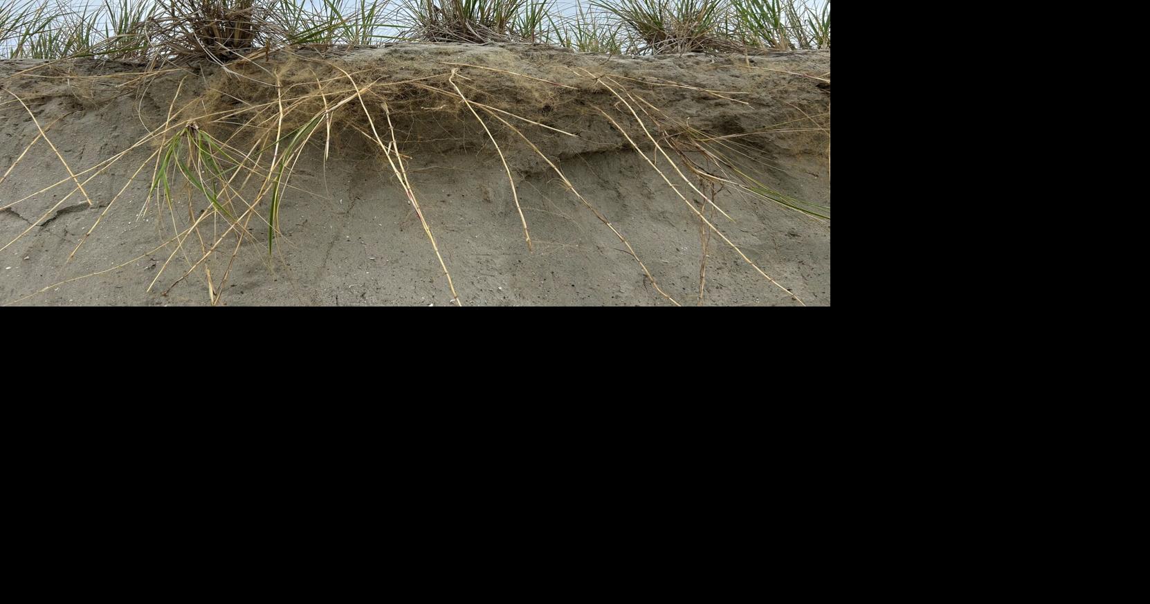 GALLERY: Storm damage in Holgate on Long Beach Island