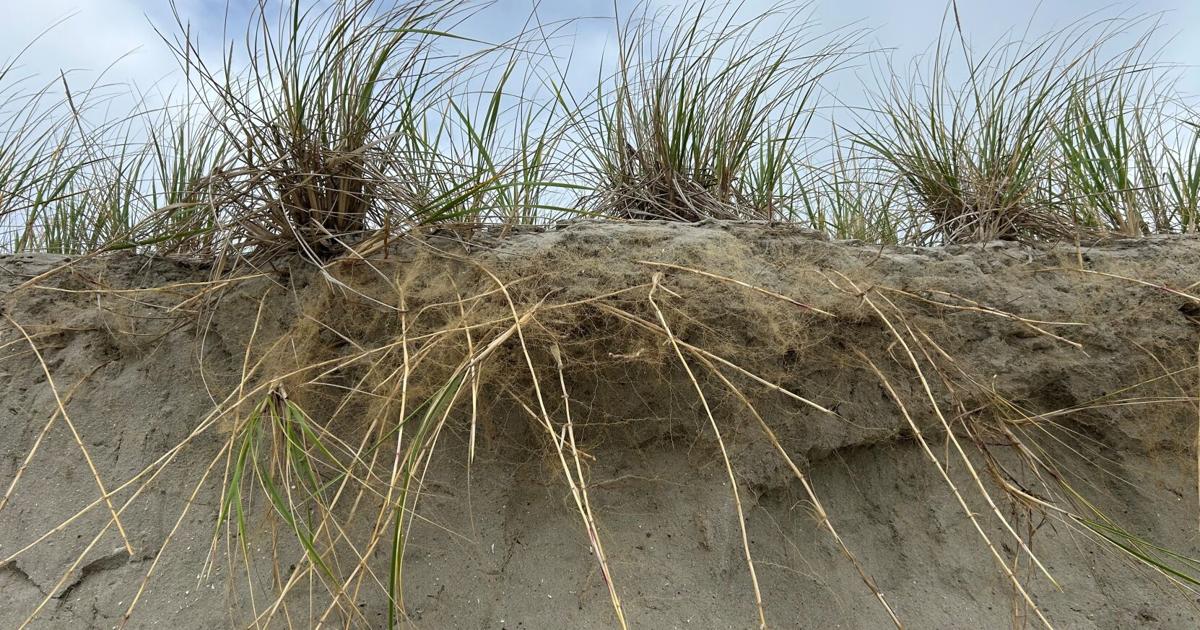 GALLERY: Storm damage in Holgate on Long Beach Island