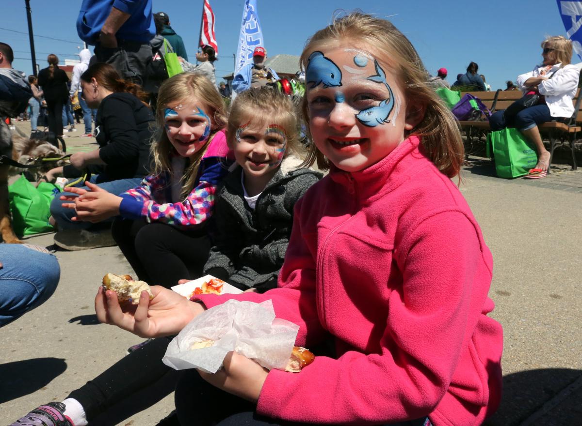 Bayfest 2019