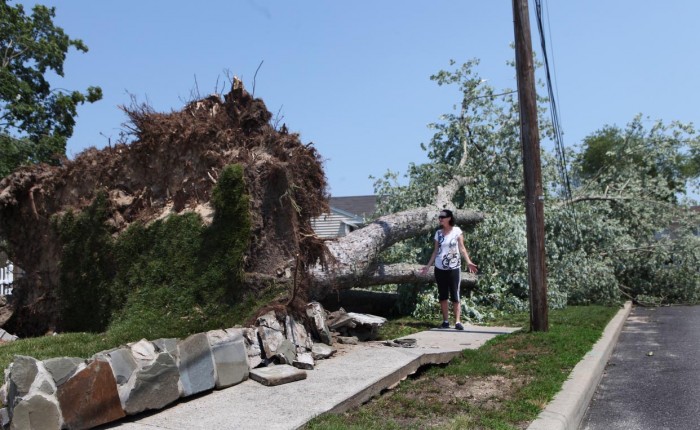 Storm Damage Sunday
