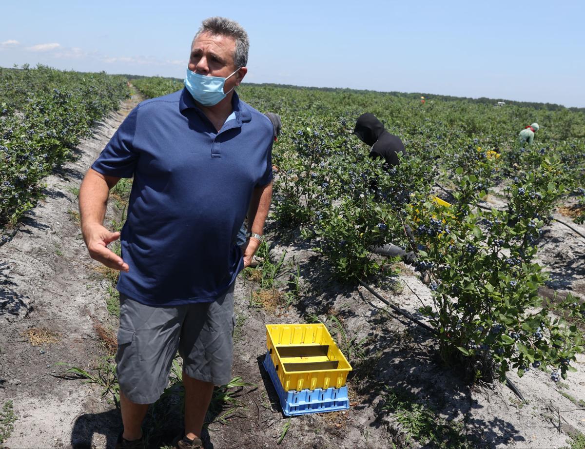 South Jersey Farm Owners Try To Keep Covid 19 From Spreading