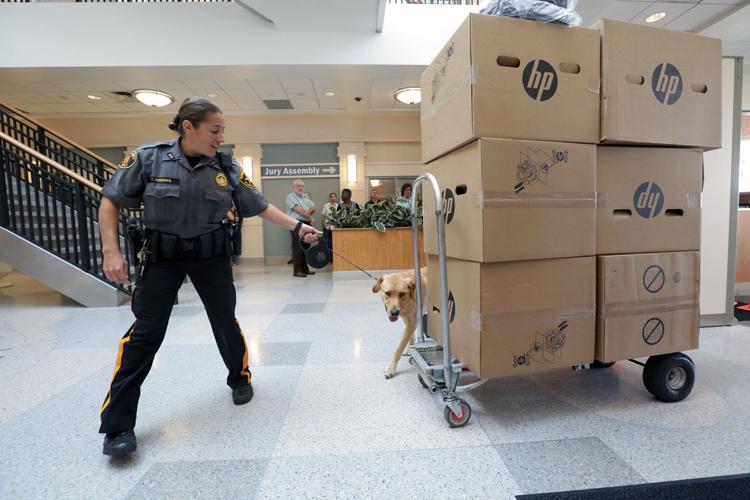 Policewomen and their K 9s take a bite out of crime