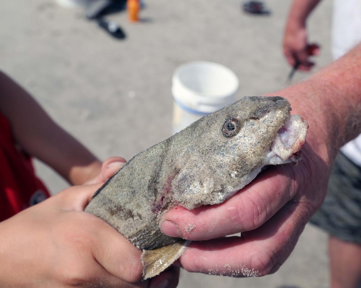 Kids Get Hooked On Fishing At Ocean City Tournament Local News Pressofatlanticcity Com fishing at ocean city tournament