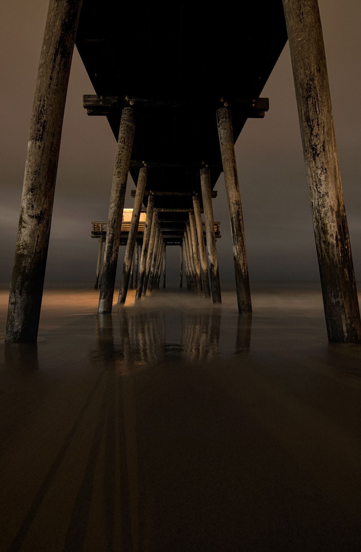 Photography Spotlight