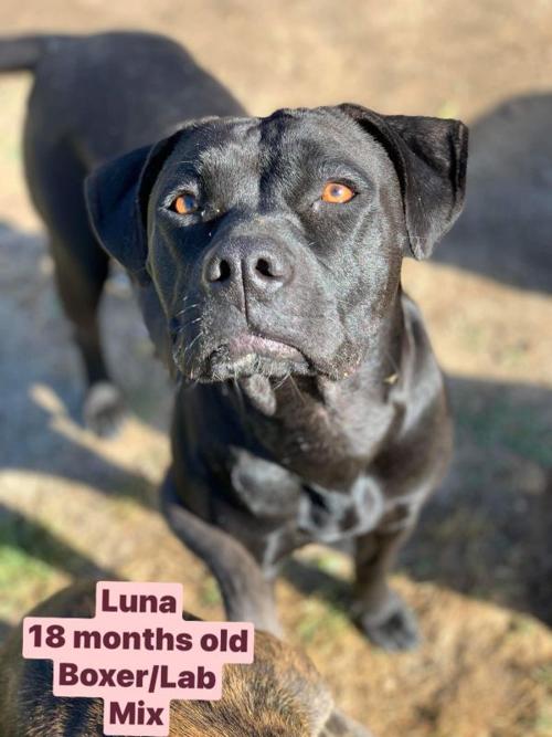 Luna