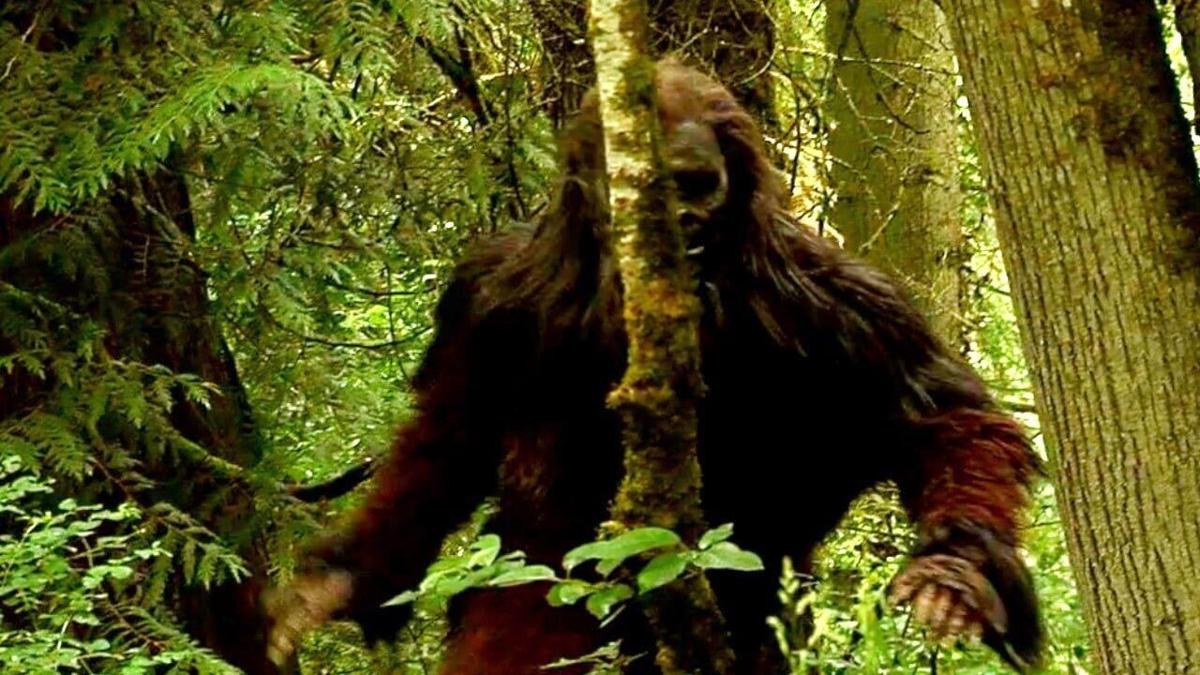 real bigfoot evidence 2022