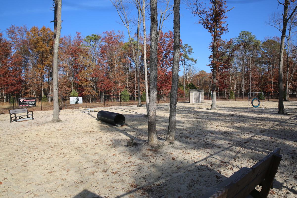 Northfield Considering Adding Dog Park Local News