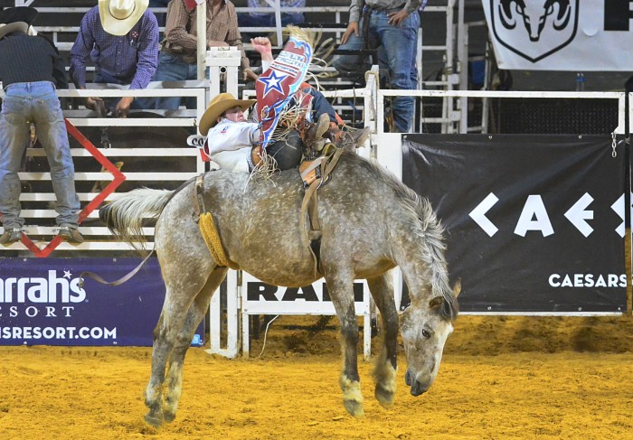 friday night rodeo