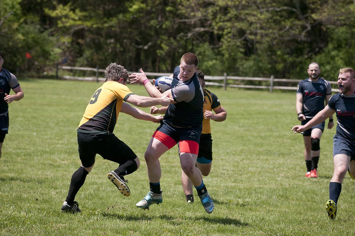 Galloway Rugby