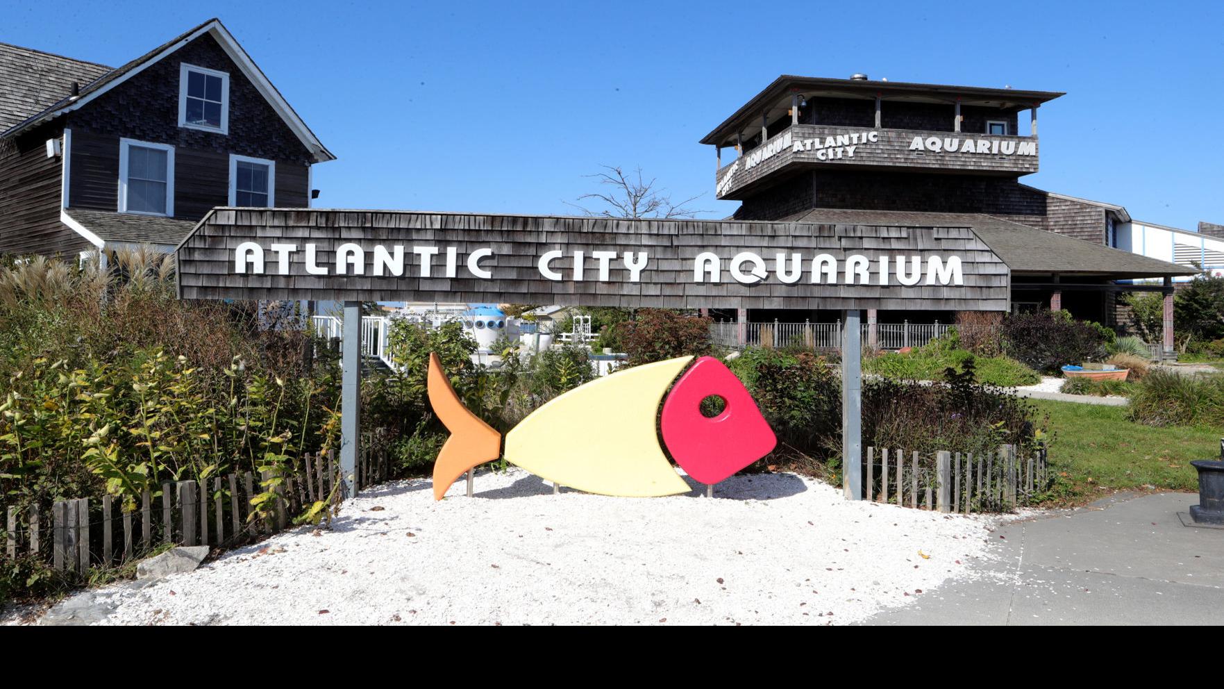 Atlantic City's beloved Gardner's Basin to get $3.6 million ...