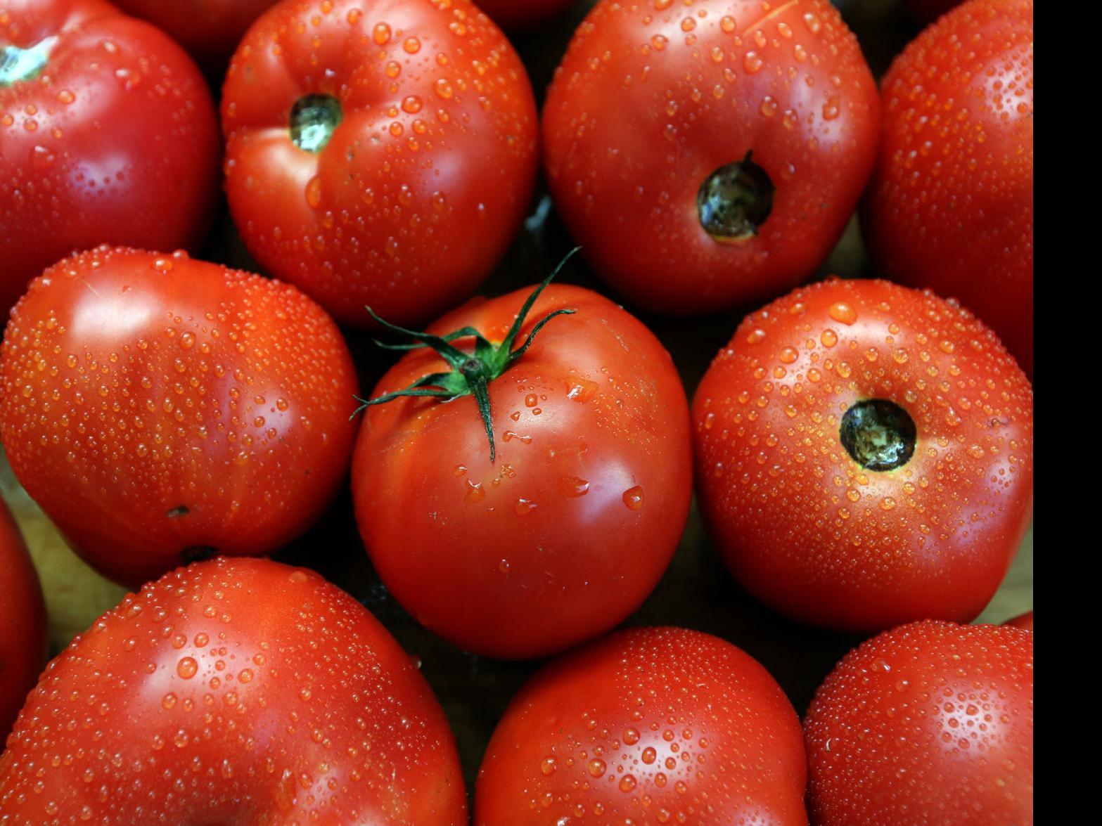 Rutgers Cooperative Extension Of Cape May County Presents Virtual Workshops Cape May Pressofatlanticcity Com