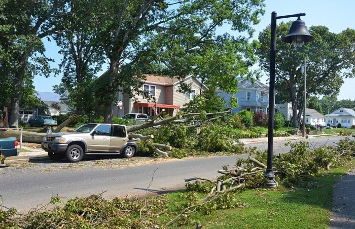 storm cleanup