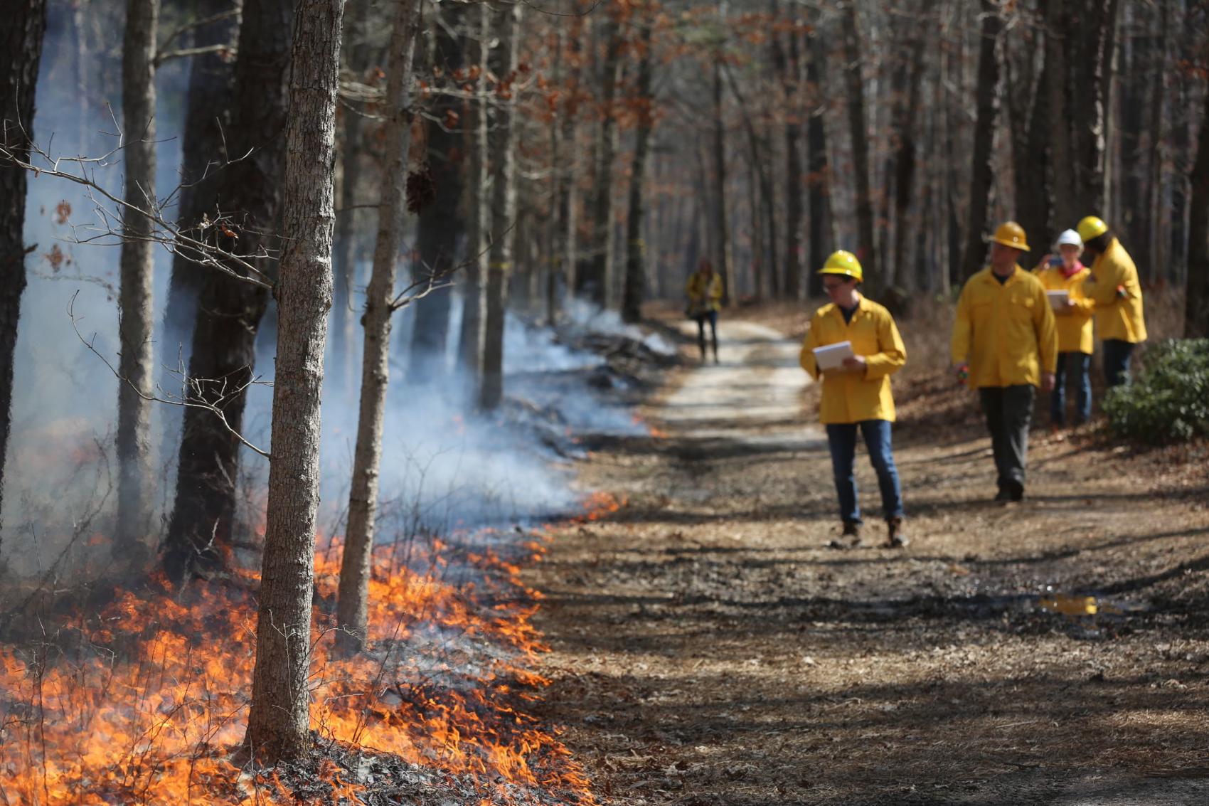 Four Prescribed Burns To Be Done By Forest Fire Service Wednesday News Pressofatlanticcity
