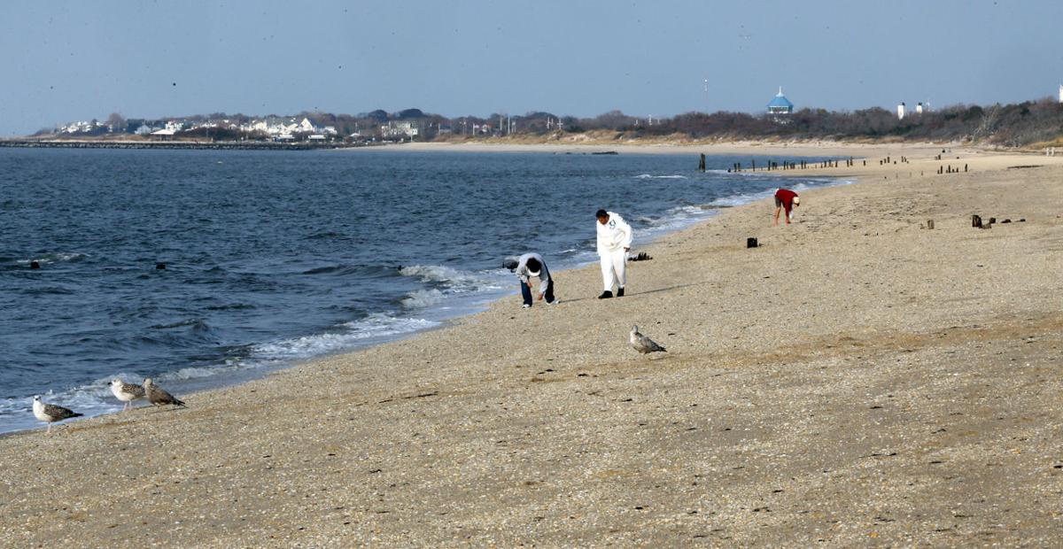 How Cape May Diamonds go from beach to brooch News
