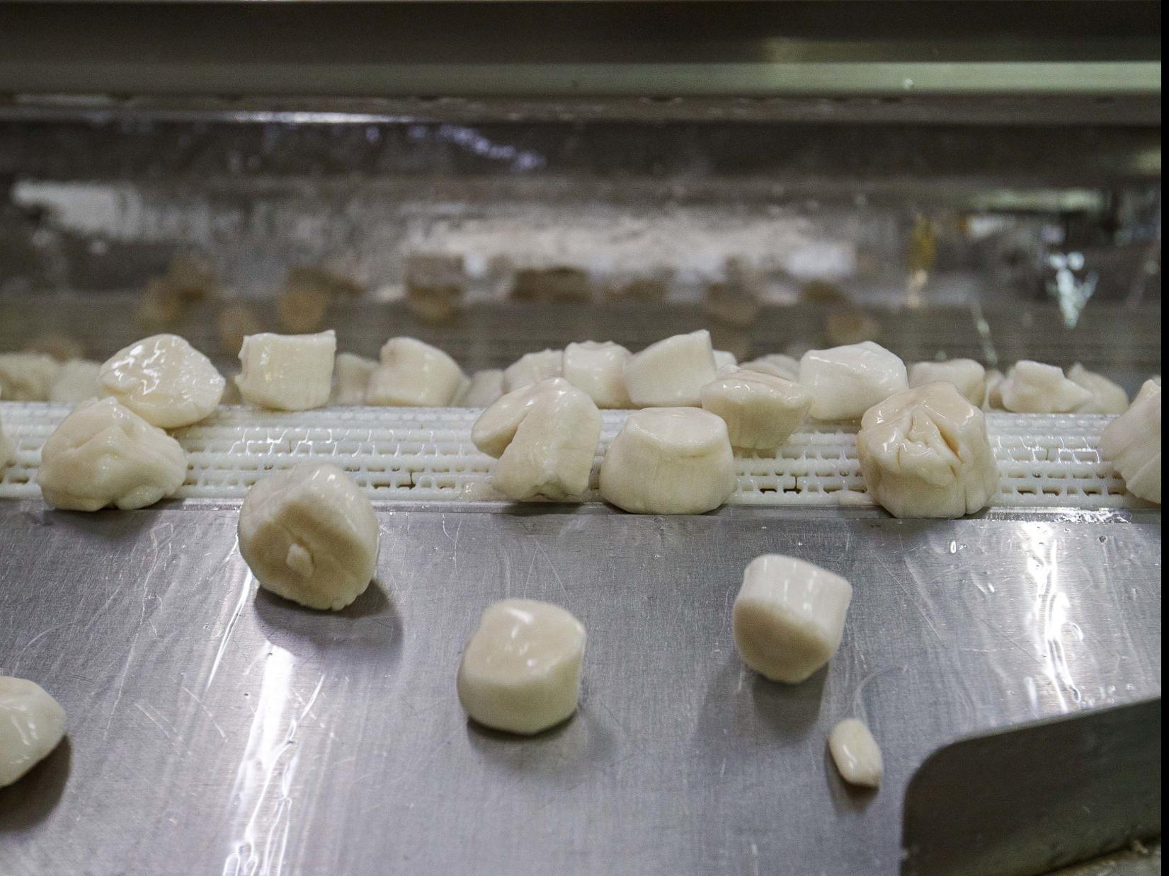 Scallops Are Tasty But They Will Cost You This Summer Lifestyles Pressofatlanticcity Com