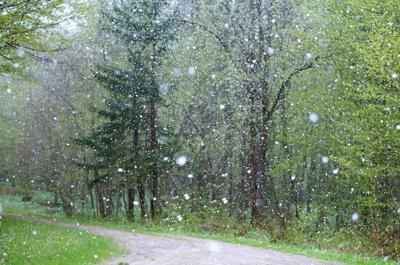 Rain Snow