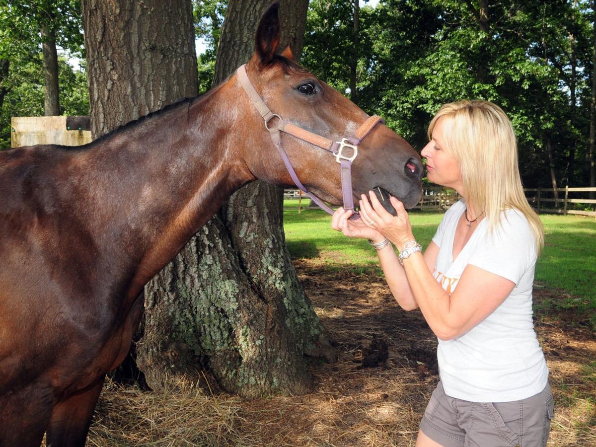 South Jersey farm rescues helping animals, community | News | pressofatlanticcity.com