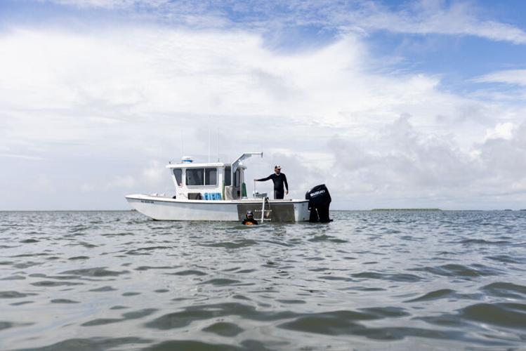 Picture Stockton…working with oyster farmers for conservation