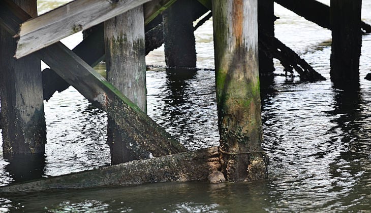 BRIDGES