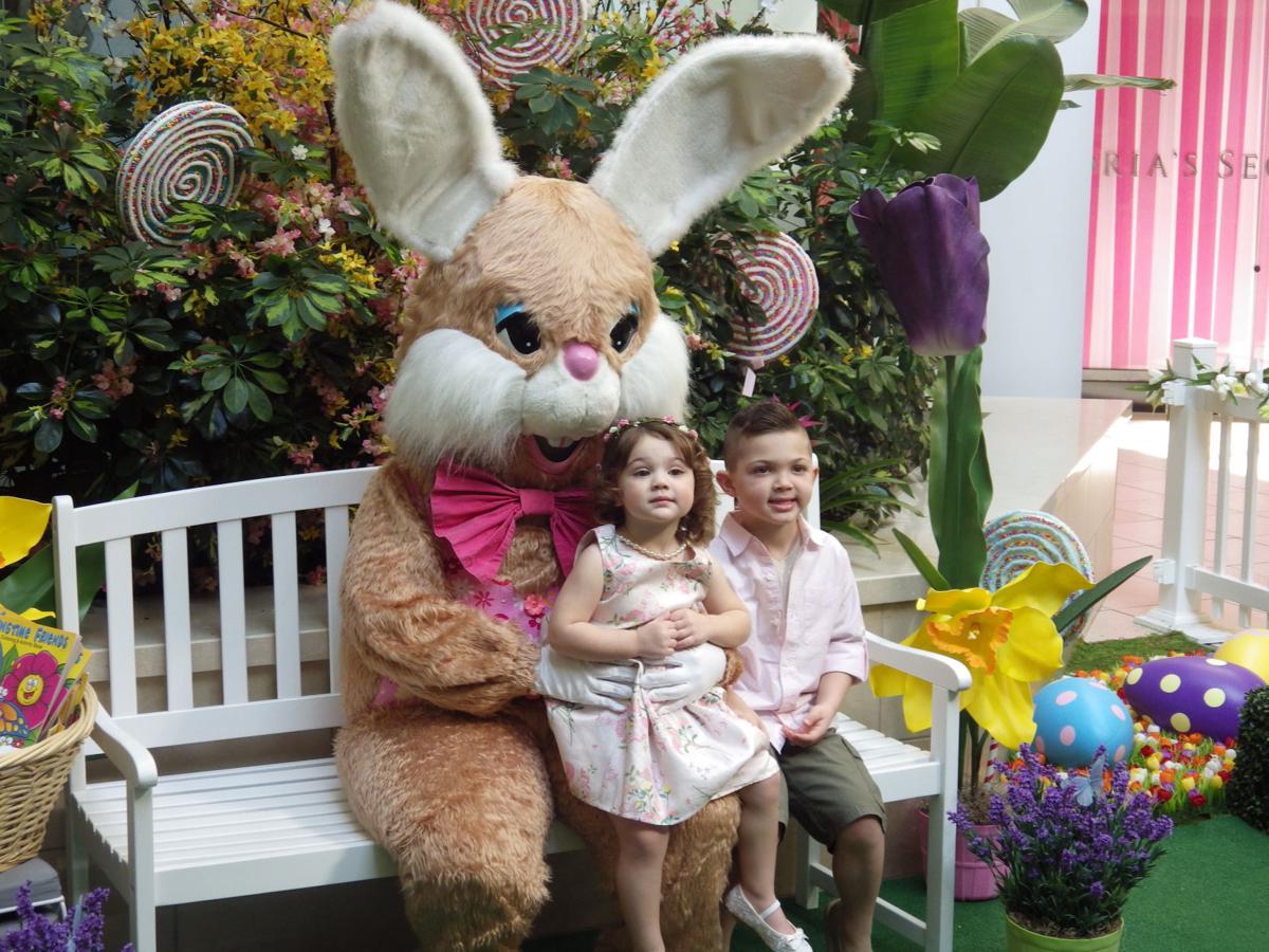 Easter Bunny arrives later this month at Eastdale Mall