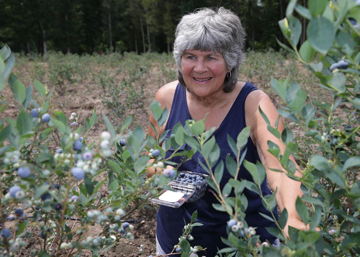 South Jersey Farms Ready For Pick Your Own Seasons Lifestyles