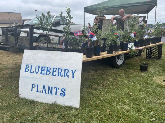 Rain doesn't stop annual Red, White, and Blueberry Festival