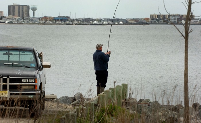 fish advisories