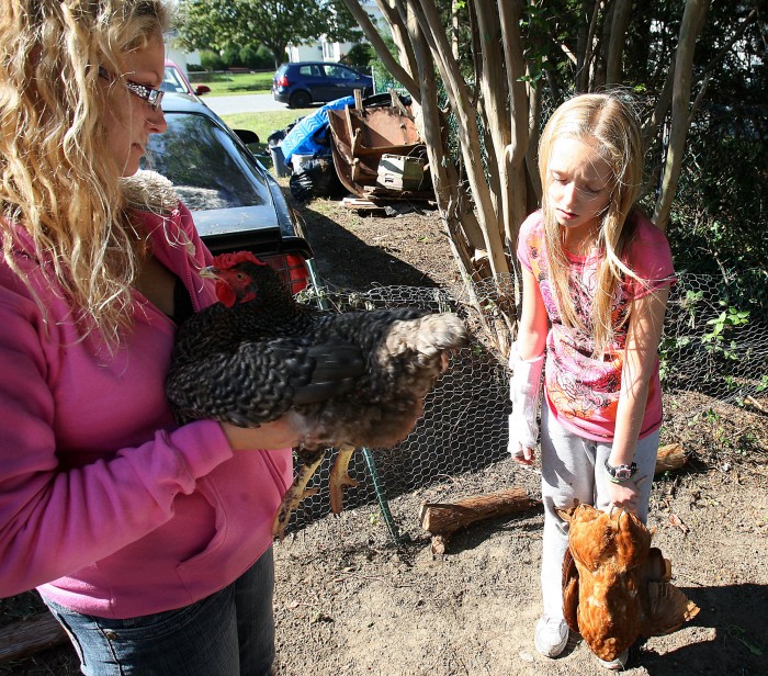 chickens lower paxton township