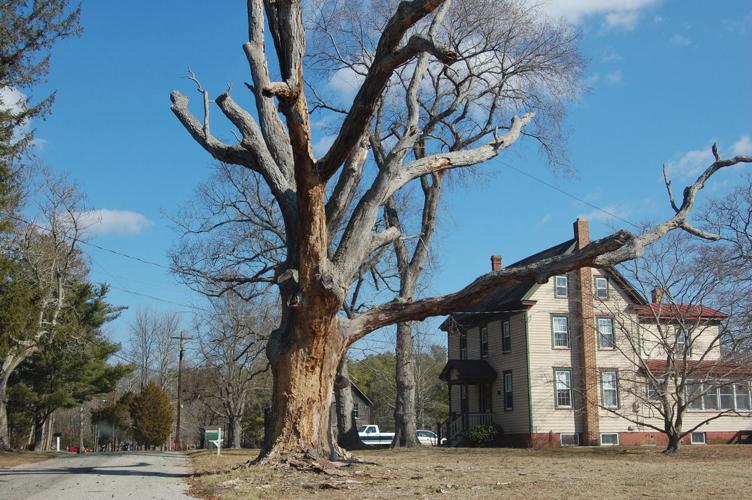 History Notes Bargaintown Pond, circa 1936
