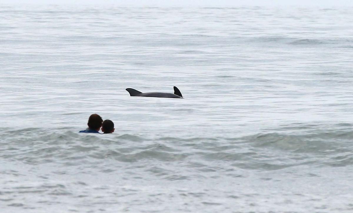 Heart of Surfing for families of autism