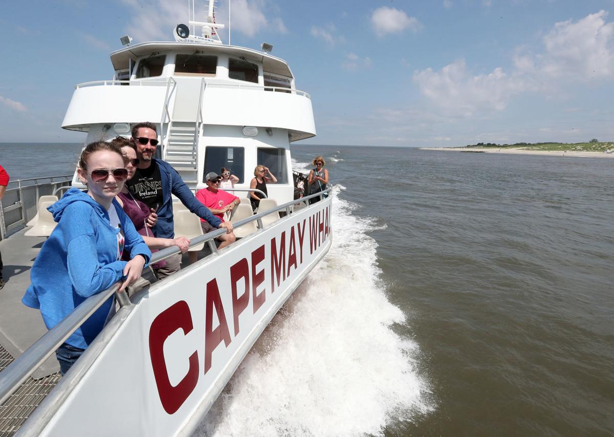 Cape May Whale Watcher